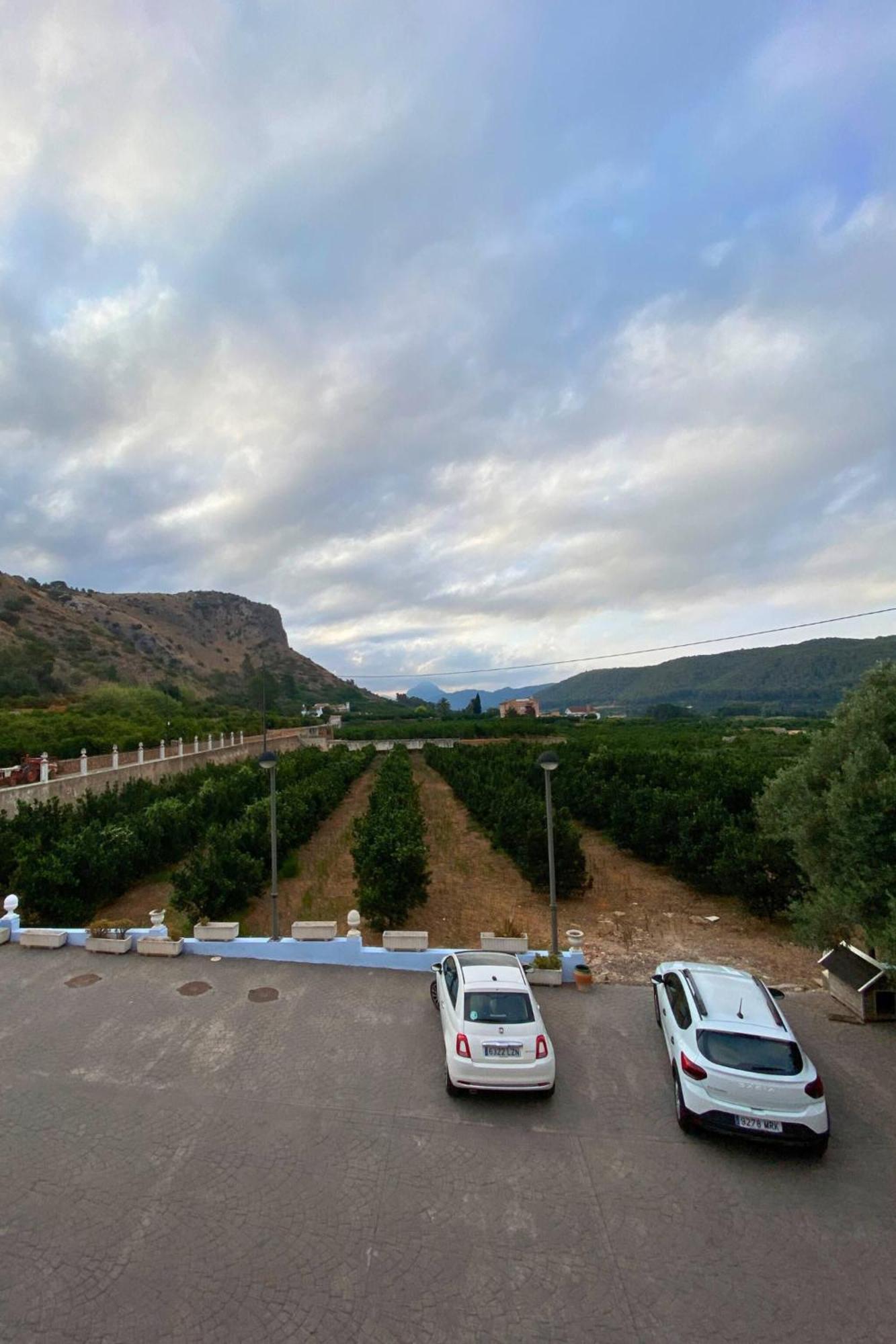 Casa Magnolia, A Rural Paradise House With Pool Alzira Dış mekan fotoğraf