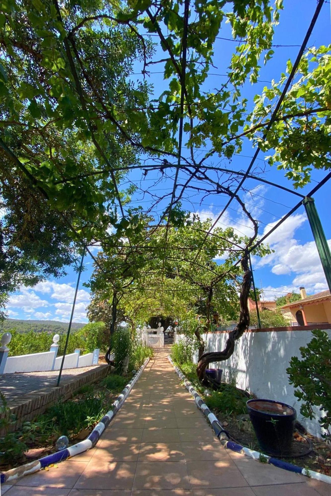 Casa Magnolia, A Rural Paradise House With Pool Alzira Dış mekan fotoğraf