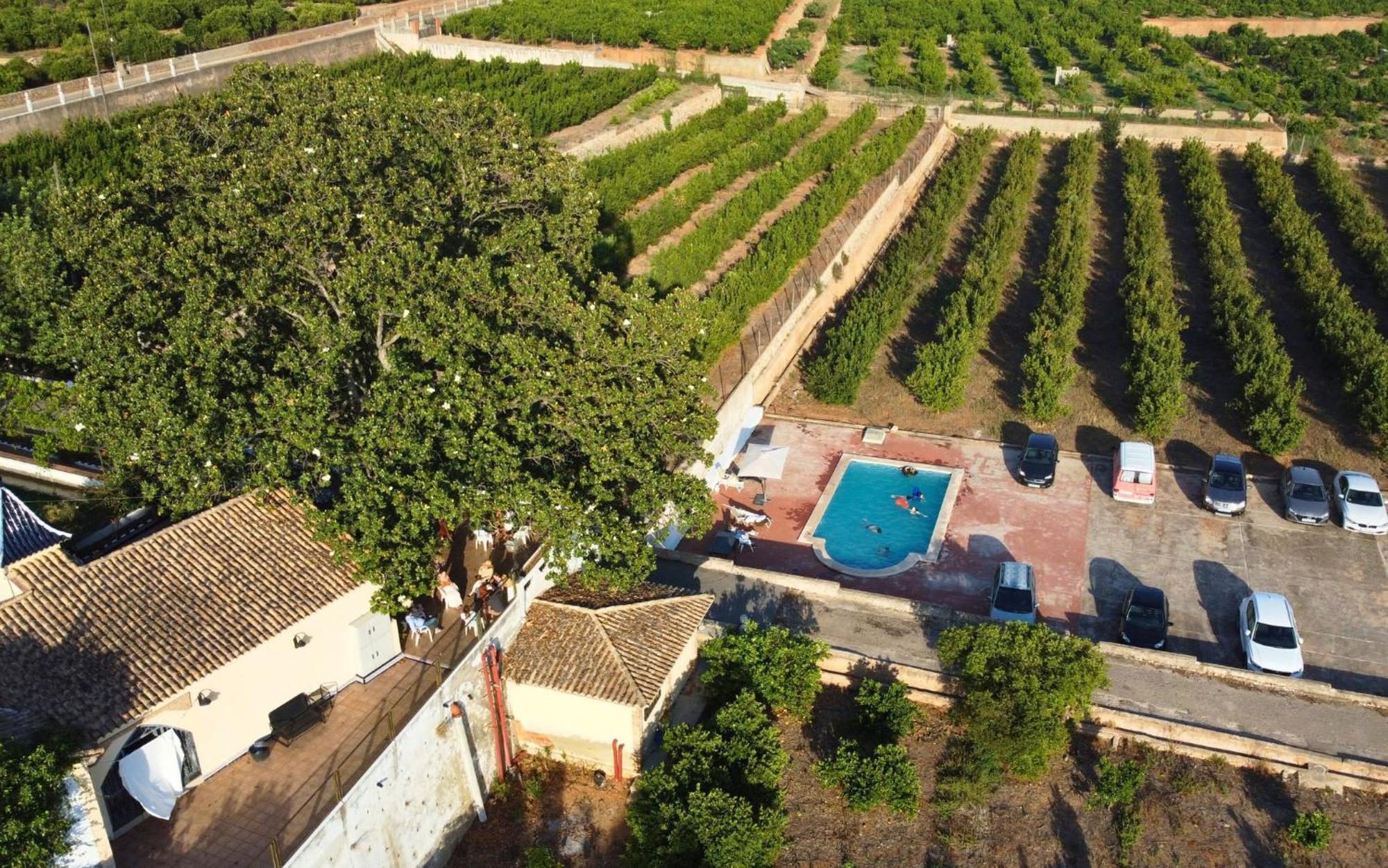 Casa Magnolia, A Rural Paradise House With Pool Alzira Dış mekan fotoğraf