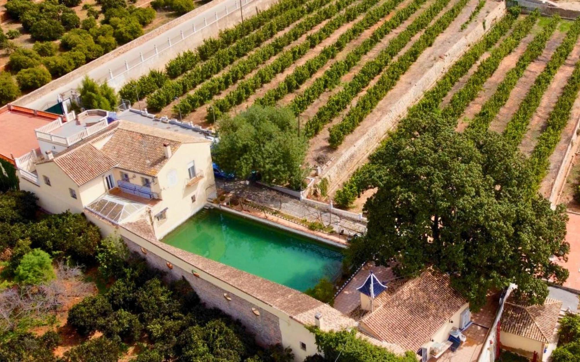Casa Magnolia, A Rural Paradise House With Pool Alzira Dış mekan fotoğraf