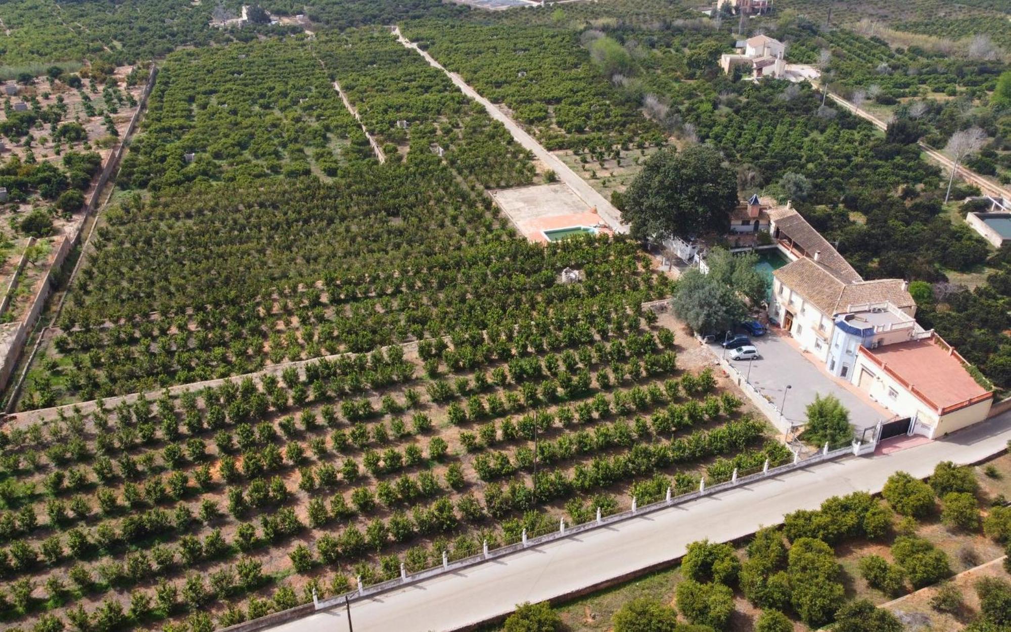 Casa Magnolia, A Rural Paradise House With Pool Alzira Dış mekan fotoğraf