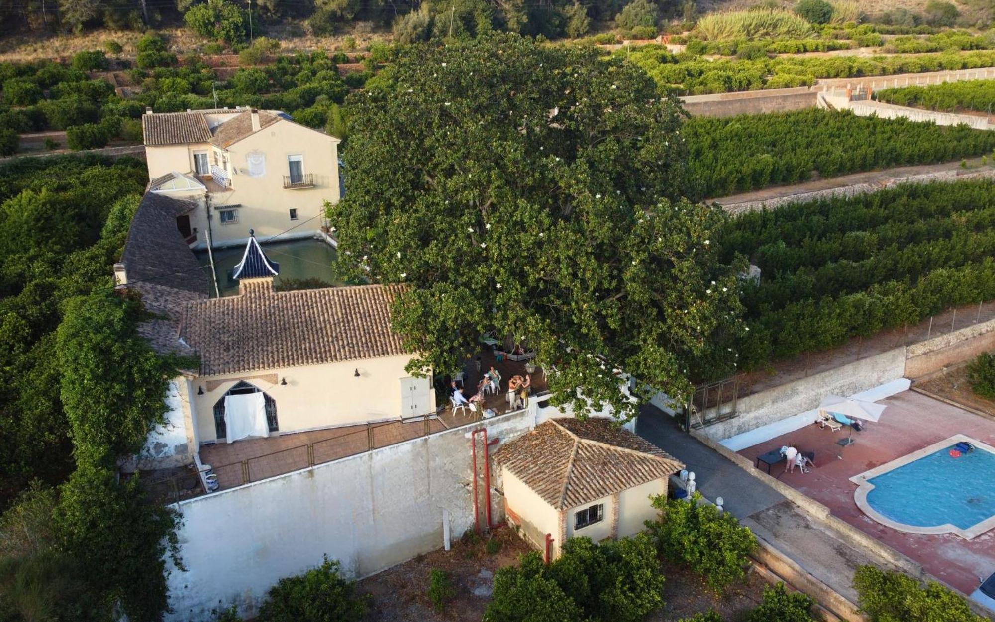 Casa Magnolia, A Rural Paradise House With Pool Alzira Dış mekan fotoğraf
