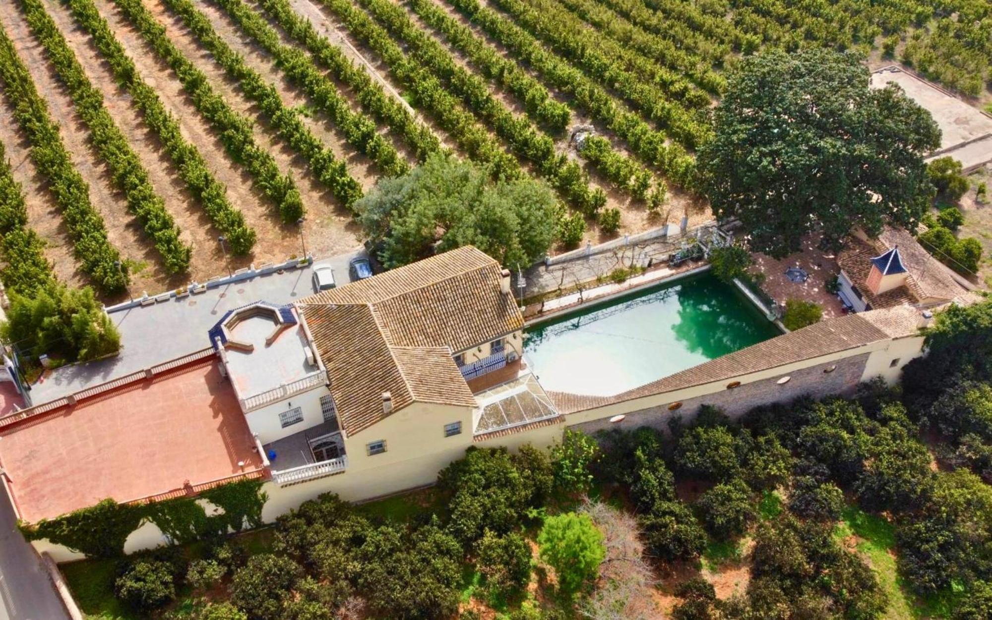 Casa Magnolia, A Rural Paradise House With Pool Alzira Dış mekan fotoğraf